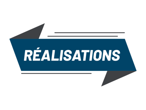 Nos réalisations par Domaine d’Activité Stratégique (DAS) Nos réalisations par Domaine d’Activité Stratégique (DAS)